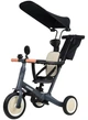 Беговел Tri-cycle 5in1 Cruiser Versa navy 5 в 1 для детей 1-3 года - изображение 1