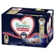 Подгузники Pampers Night Pants Розмір 6 (13-19 кг) 80 шт (8006530320511) (346414) - изображение 2