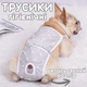 Трусики гигиенические регулируемые трусики для собак и кошек стерилизованных, кастрированных, во время течки и операций One size - изображение 1