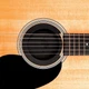 Супресор D'Addario PW-SH-01 Screeching Halt Soundhole Plug - зображення 2