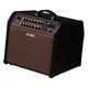 Комбопідсилювач Boss Acoustic Singer Pro ACS-PRO - зображення 2