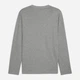 Лонгслив мужской Puma Essentials Foundation 68254603 M Medium Gray Heather (4067983316029) - изображение 5