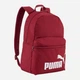 Рюкзак спортивный 22 л вмещает формат А4 Puma Phase Backpack 09116446 Garnet Glow (4070032512099) - изображение 1
