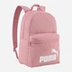 Рюкзак женский спортивный 22 л вмещает формат А4 Puma Phase Backpack 09116440 Dusky Rosewood (4070032512327) - изображение 1