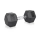 Гантель шестигранна inSPORTline Hexclusive 15 кг - зображення 1