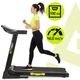 Беговая дорожка Actiget Actirun Pro ACT0172 - изображение 14