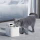 Фільтр для поїлки Petkit Eversweet Max Fountain Filter 5шт (P4171) [169303] - зображення 4
