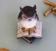 Статуэтка Филин малый на книгах 8*8*15 02-90104A Гранд Презент 02-90104A - изображение 6