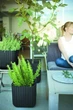 Горщик для квітів пластиковий Keter Cube Planter M 230227 антрацит - изображение 3