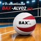 Волейбольний м’яч ВАХ – ALV 02 №5 160713 - изображение 1