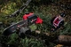 Кущоріз-висоторіз телескопічний акумуляторний Einhell Professional GP-LC 18/20 Li T BL + GP-HH 18/50 Li T BL 18В - набір з 2 насадок: кущоріз 550мм і пилка 200мм 5.93кг без АКБ та ЗП - изображение 10