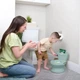 Горщик унітаз дитячий Ingenuity My Size Potty Pro, green - зображення 3