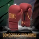 Боксерские перчатки Leone GN059X BORDEAUX ED 12 унций - изображение 2