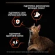Сухий корм для дорослих котів Purina Pro Plan Adult 1+ Vital Functions з лососем 10 кг - изображение 5
