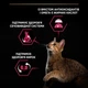 Сухий корм PRO PLAN Sterilised Adult 1+ Savoury Duo для дорослих стерилізованих котів з тріскою та фореллю 1.5 кг - зображення 5