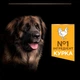 Сухий корм для дорослих собак великих порід Purina Pro Plan Large Robust Adult 2+ Everyday Nutrion з куркою 14 кг - изображение 5