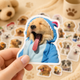 Стикеры собачки 33 шт, Dog Stickers - изображение 7