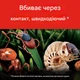 Барьер от Клещей, Блох, Муравьёв, Пауков. Защита газона от муравьев Ortho Ortho BugClear 4,54 кг. Гранулы. Произведено в USA - изображение 2
