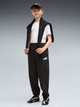 Детские спортивные штаны для мальчиков Puma Essentials Logo Lab 69467501 134-140 см Black (4070033375167) - изображение 3