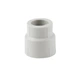 Муфта PPR Thermo Alliance 25х20 - зображення 3