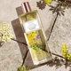 Туалетная вода пудровая мимоза Women's Collection Powdery Mimosa Oriflame 75 мл - изображение 3