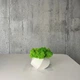 Кашпо «Диафрагма» со стабилизированным мхом 10×6,5 см белое - изображение 3