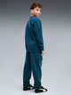 Подростковый спортивный костюм (свитшот + штаны) для мальчика Puma Essentials Elevated 69521836 170-176 см Midnight Petrol (4070033474129) - изображение 2