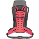 Рюкзак туристичний Salewa ALPTREK 38 л BP WS 1257 0531 UNI - сірий - зображення 2