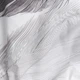 Комплект постільної білизни Moon&Star Бязь Gold Люкс Feather Dream King Size 220x240 наволочки 2х40х60 (MS-820013755) - зображення 7