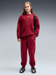 Детский теплый спортивный костюм (свитшот + штаны) для девочки Puma 68972723 122-128 см Garnet Glow (4070033459218) - изображение 1