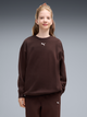 Детский теплый спортивный костюм (свитшот + штаны) для девочки Puma 68972733 122-128 см Chocolate Fondue (4070033471432) - изображение 3