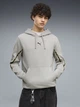 Худі утеплене чоловіче Puma Essentials Tape 69433963 M Gray Echo (4070033378243) - зображення 1