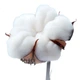 Салфетки PurCotton для лица 100% хлопок, 80 листов x 9 упаковок, 20x20см - изображение 1