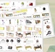 Румбокс Садовий будиночок Інтер'єрний конструктор Orchard House DIY Miniature Dollhouse Kit P-018 + купол - зображення 8