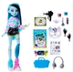 Кукла Monster High Self-Scare Secrets Frankie Stein - Монстр Хай Фрэнки Штейн из серии Секреты самоужаса (JMG73) - Игровой набор Mattel - изображение 1