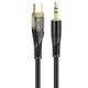 Аудіокабель HOCO UPA25 Transparent Discovery Edition Digital audio conversion cable Type-C Black - зображення 1
