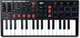 MIDI-клавиатура M-Audio Oxygen Pro Mini (38710) - изображение 1