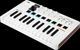 MIDI-клавиатура Arturia MiniLab 3 (23-11-03-01) - изображение 4