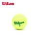 М'яч тенісний Wilson WRT137400 - зображення 5