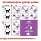 Сухий корм для стерилізованих котів віком від 7 до 12 років Royal Canin Sterilised 7+ 1,5 кг (3182550784566) - зображення 3