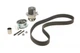 Комплект ГРМ + помпа Skoda Fabia/VW Passat/Golf 1.9TDI 00- 530009130 , Schaeffler INA - изображение 2