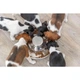 Миска Trixie Puppy Bowl для цуценят з нержавіючої сталі, 1,4л (TX-25281) - изображение 2