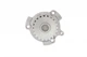 Комплект ГРМ + помпа Lada Kalina/Priora/Vesta 1.6 08- (137x22) 530053630, Schaeffler INA - зображення 7