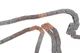 Цепь ГРМ Ford Transit 2.0/2.3 94-06 (z=138) 553004610 , Schaeffler INA - изображение 3