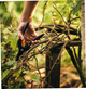Плоскостной секатор 20.8 см для сада нержавеющая сталь Fiskars HM-0050 - изображение 8