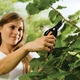 Плоскостной секатор 20.8 см нержавеющая сталь для сада Fiskars FK-2843 - изображение 9