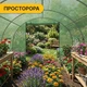 Теплиця LEOBRO Garden 18м2 посилений метал зелений - зображення 8