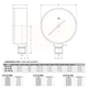 Манометр радиальный Cewal MP 63 RM 1/4" 25 бар 63мм (91406205) - изображение 4