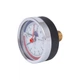 Термоманометр аксіальний Thermo Alliance Standart біметалевий 1/2" 10 бар 120°C (SD17310B) - зображення 2
