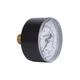 Манометр аксіальний Thermo Alliance Standart 1/4" 6 бар 50мм (SD1716B) - зображення 3
